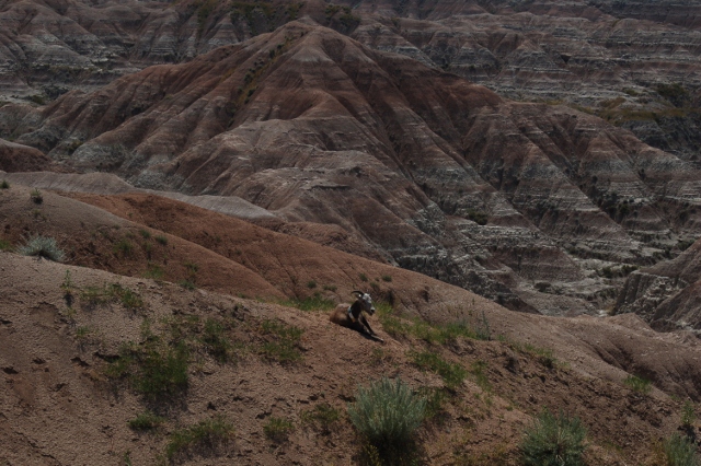 the Badlands